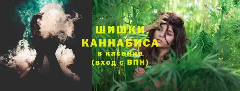 Бошки Шишки VHQ  Калач-на-Дону 